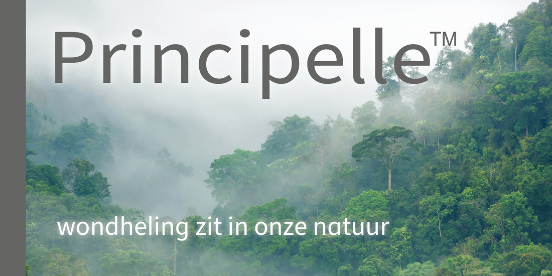 Banner principelle AllweCare